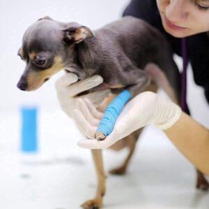 Topical Skin Adhesive For Wound Closure