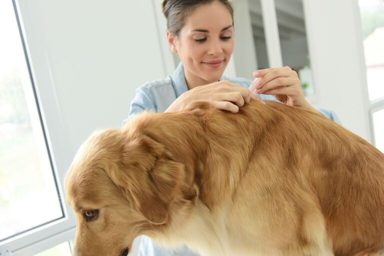 veterinary tissue adhesive
