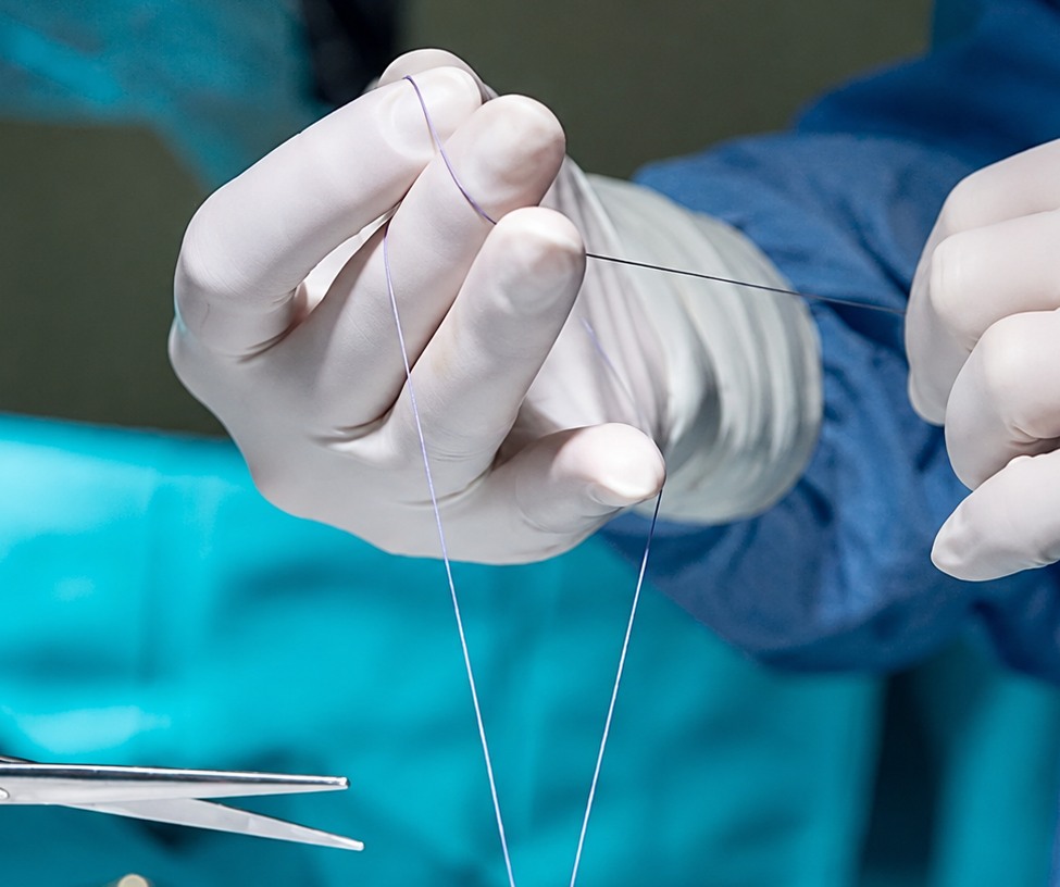 dog sutures healing