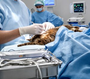 what is pga suture