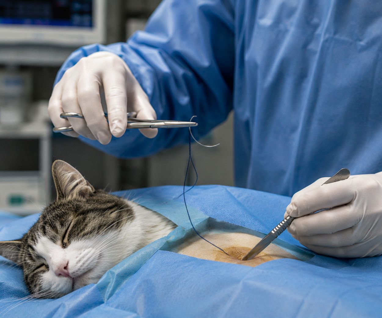 veterinary surgical sutures