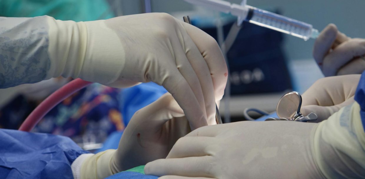 polydioxanone suture absorption time